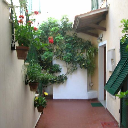Hotel Anselmi Marciana Marina  Exteriér fotografie